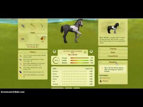 how to bid on howrse