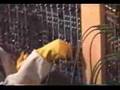the moog cookbook - black hole sun