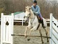 We Fly High Sterling Silver Thoroughbred We Fly High Sterling Silver Thoroughbred