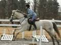 We Fly High Sterling Silver Thoroughbred