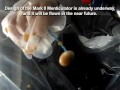 Diet Coke & Mentos in Zero G at 300 fps Diet Coke & Mentos in Zero G at 300 fps