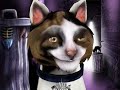 Felix le chat