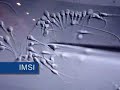 IMSI