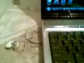 HP PAVILION DV9000 HP PAVILION DV9000