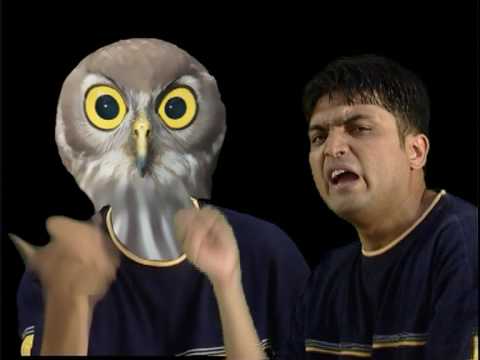 kaan