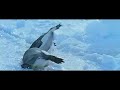 La Marcha de los Pinguinos - RosarioCine.com.ar