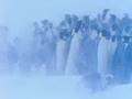 La Marcha de los Pinguinos - RosarioCine.com.ar