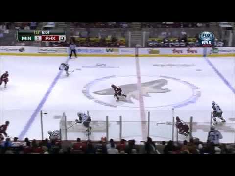 Dany Heatley 2013 Season Goals