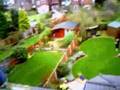 Flycamone v2 Trex 450 se v2 in back garden
