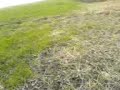 My village New sohawa pasrur sialkot My village New sohawa pasrur sialkot