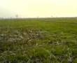 My village New sohawa pasrur sialkot