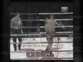 Yodsanklai Fairtex HL by OMT