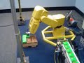ASRO Fanuc Palletizing Robot