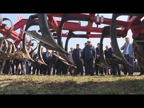 День поля видео