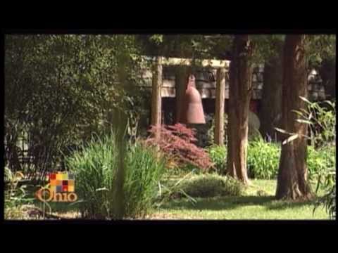 how to transplant river cane