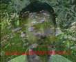 HASAN-ERG-L-SEVD-M-S