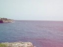 WALK IN MAJORCA