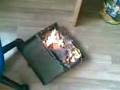 videos de fikkie in mijn kamer^^