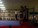 Luis Boxing In Angleton Luis Boxing In Angleton