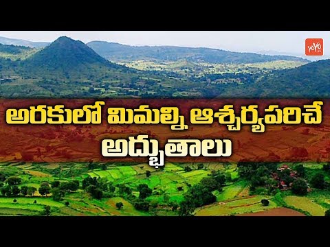 Places To Visit In Araku Valley In AP | Araku Valley Tourist Places in Telugu | YOYO TV Channel