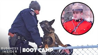 How Canadian Mounties Train With Dogs In Sub-Zero Temperatures