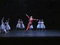 La Shylphide-Juan Pablo Ledo-Ballet Teatro Colón