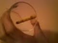 Magic real levitation