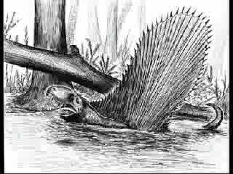 dimetrodon and gorgonopsians tribute