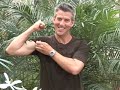 Part 2 - \"Grand Screen Enclosure Garden\" Part 2 - \"Grand Screen Enclosure Garden\"