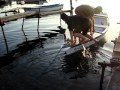 Boat Napokon (Finnaly) made by cigo man band