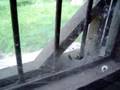videos de spider vs fly