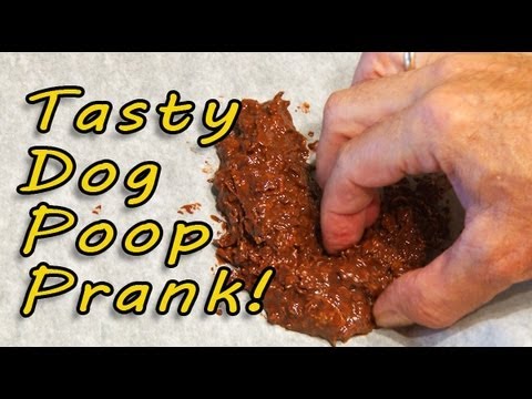 poop - Just in time for April Fools Day! Make some tasty dog poop then play some great pranks on your friends or enemies! Join the Kipkay Fan Club! http://www.kipka...