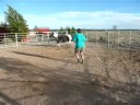 roundpen 1