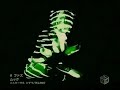 mucc - fuzz (pv)