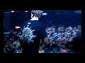 Pendulum's "Immersion" Album Preview - Streaming from Matter, London on January 22nd 2010