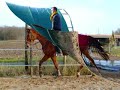 Dressage avec Liberia de l\