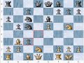 Kasparov vs. Anand(1995)