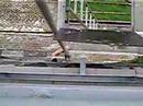 my-neighbour.html