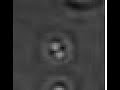 F1-ATPase activity, group 5, sample 2 F1-ATPase activity, group 5, sample 2