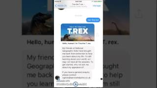 Review of Tina the T-Rex