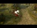 demo Diablo 3 gameplay