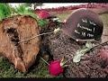 granger-smith-we-bleed-maroon.html