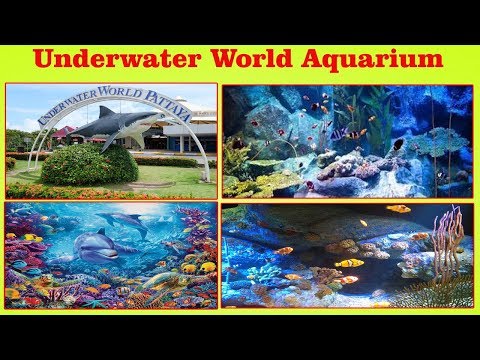 50 Lakhs Worth 500 Kgs Cannabis Trap Excise Task Force KJ Puram G Madugula in Visakhapatnam,Vizag Vision...