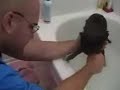 Bath Time Bath Time