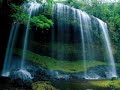 khaliaha_Ala_Allah فريد الأطرش - خليها على الله