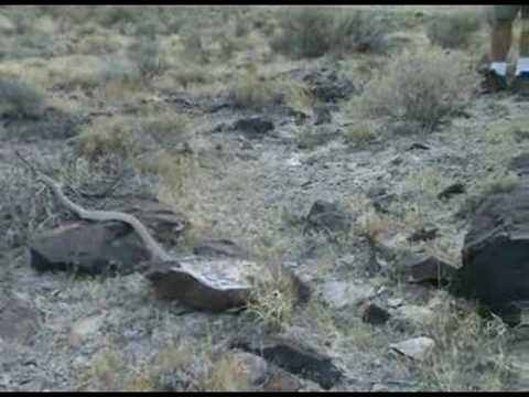Dugway Geode, Utah