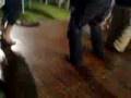 videos de italiano curikitaka