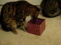 best-gift-ever