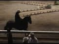 exhibicion-de-millonario.html