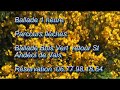 matra tidal force velo electrique 07600 vals les bains